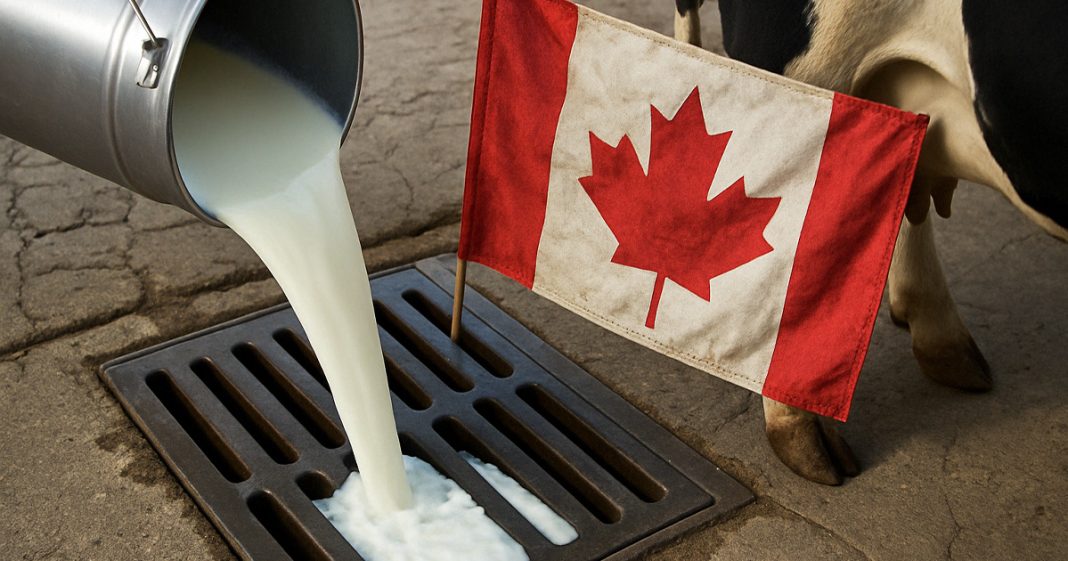 Canada et gaspillage de lait