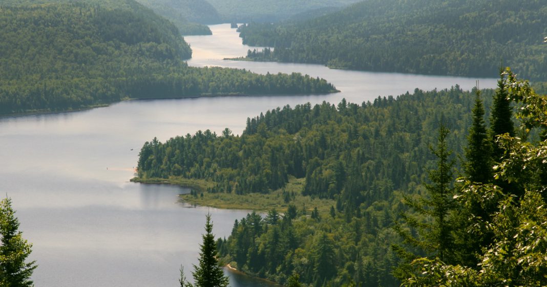 Régime forestier québécois : bras de fer entre Québec et les pourvoiries