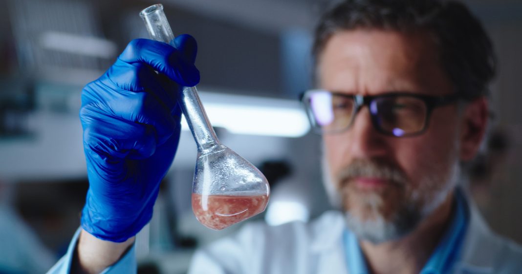 Viande cultivée en laboratoire