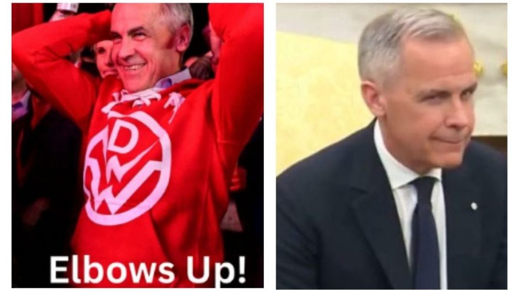 Le prix de l’imbécilité