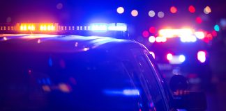 Une possible main humaine découverte dans un boisé de Lévis Actualité