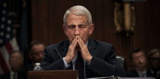 Fauci choisit le silence : quand la confiance publique finit au cinquième amendement Actualité
