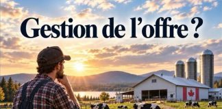 Producteur laitier dans une ferme illustrant les enjeux liés à la gestion de l’offre au Québec